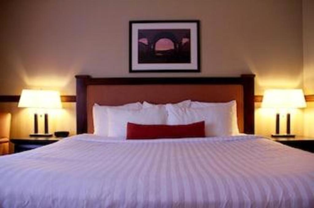 Best Western Diamond Inn Three Hills Bagian luar foto