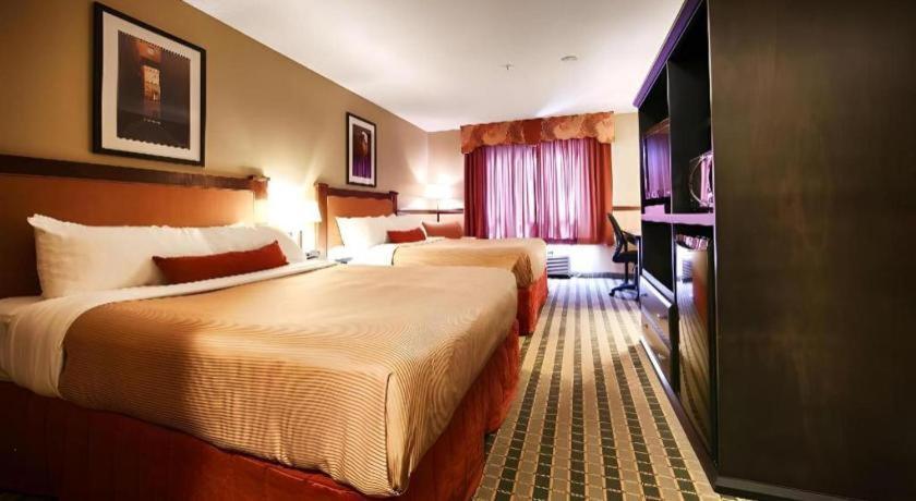 Best Western Diamond Inn Three Hills Bagian luar foto